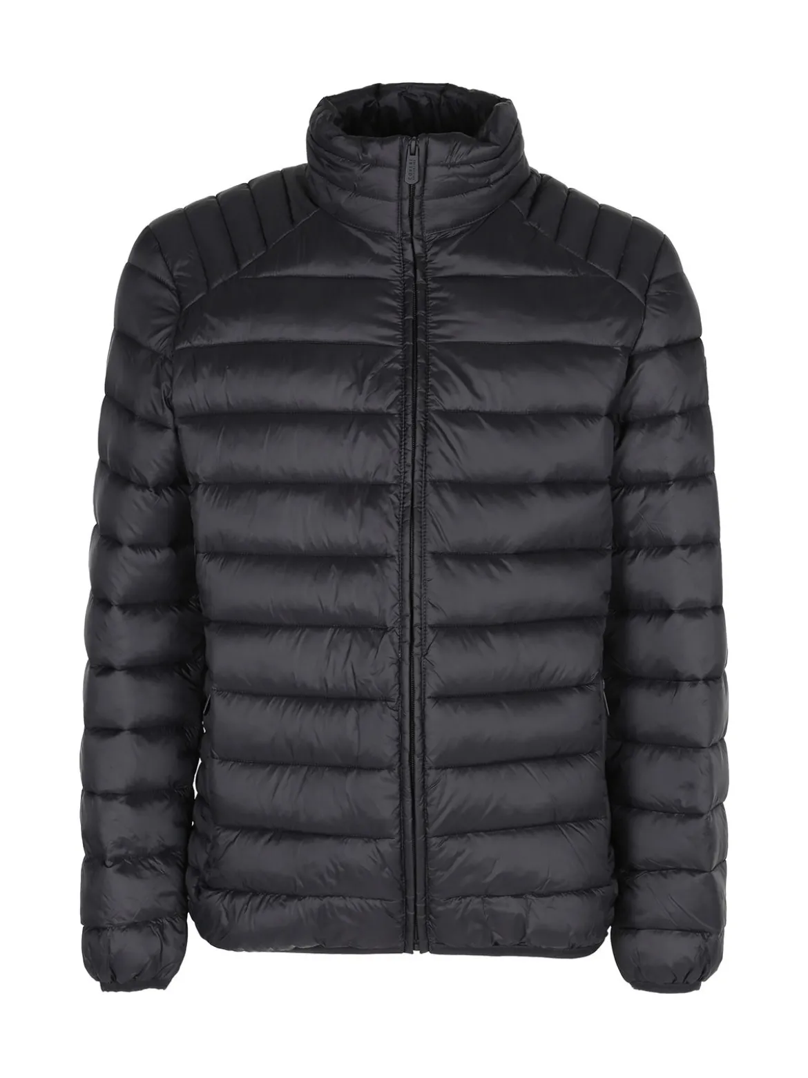 Coveri Collection Piumino da uomo con zip